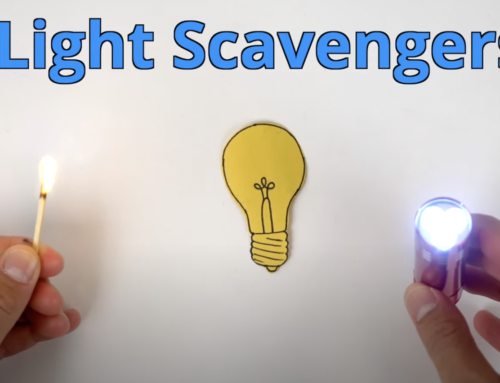 STEM: Light Scavengers