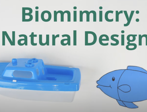 Biomimicry